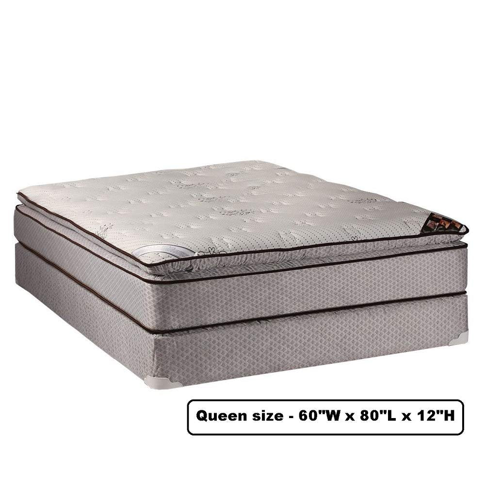 Dream Sleep Spinal Plush Queen PillowTop (Eurotop) Mattress Set, Bed Frame Included - Sleep System with Enhanced Cushion Support, Fully Assembled, Longlasting Comfort by Dream Solutions USA