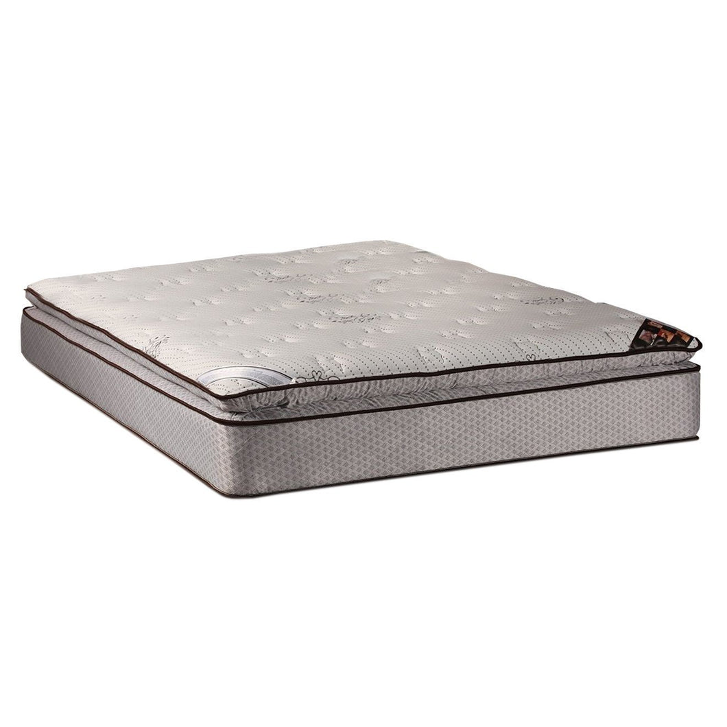 Spinal Dream Plush Pillow Top (Eurotop) Mattress Only (Queen Size-60
