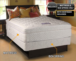Dream Sleep Lexus Pocket Coil Plush Soft Firm Pillowtop Mattress Set with Bed Frame Included - Good for Your Back, High Density Foam, Orthopedic, Longlasting
