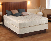 Load image into Gallery viewer, Twin Trundle Bed (Pop-Up) with Mattress Package by Dream Solutions Brand USA - Long Lasting