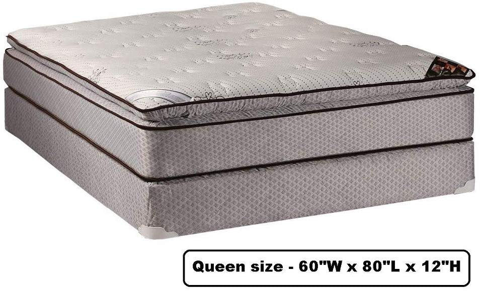 Dream Sleep Spinal Plush Queen PillowTop (Eurotop) Mattress and Box Spring Set - Sleep System with Enhanced Cushion Support, Fully Assembled, Great for Your Back by Dream Solutions USA